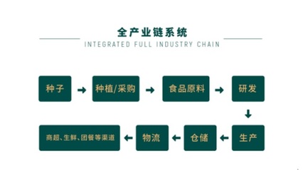 北大荒糧油倉儲服務(wù) 現(xiàn)代化糧倉守護(hù)國家糧倉安全