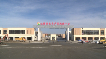 完成到位資金近70億元！1-10月奎屯市招商引資成效顯著，糧油倉儲服務產業引關注